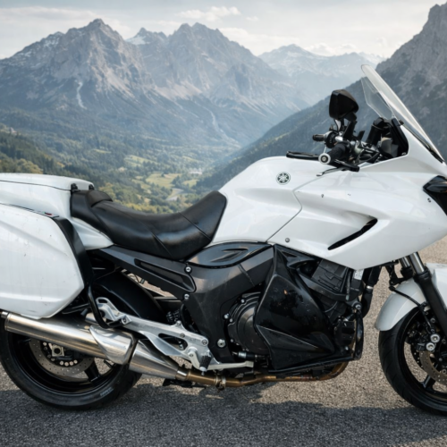 Yamaha TDM 900