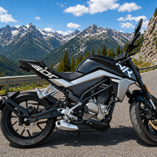CF Moto 300 NK